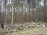 Las Lućmierski - symboliczna mogiła stu straconych