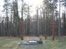 Cmentarz Wojskowy z I wojny światowej - Las Krogulec (ul. Cegielniana) - zdjęcie 2005 r.