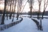 Park Miejski zimą - zdjęcie archiwalne